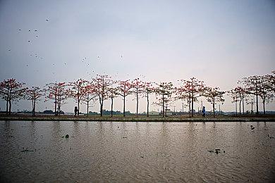 《DOTA2》迪拜别墅杯 中国战队AR晋级主赛事